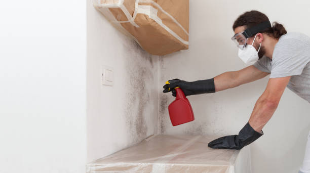 Professional Crawl Space Mold Removal technician working in Fayetteville, TN