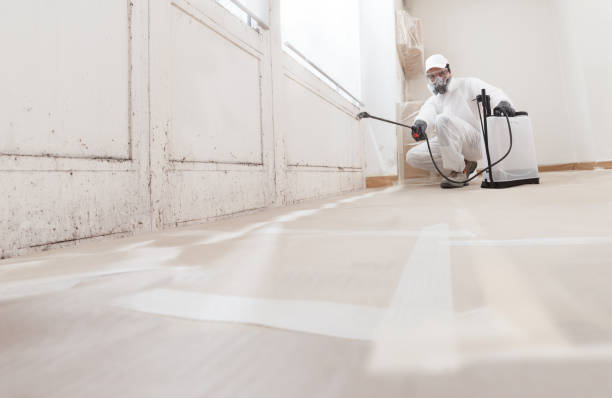 24/7 Emergency Crawl Space Mold Removal experts in Fayetteville, TN