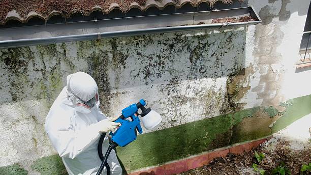 Trusted Crawl Space Mold Removal service in Fayetteville, TN - Cheap Mold Removal